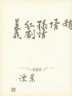 美红孙倩赵敏高义剧情