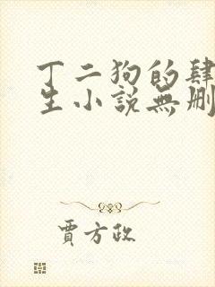 丁二狗的肆意人生小说无删减下载