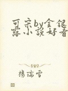 可宋by金银花露小说好看吗封面