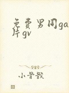 免费男同gay片gv