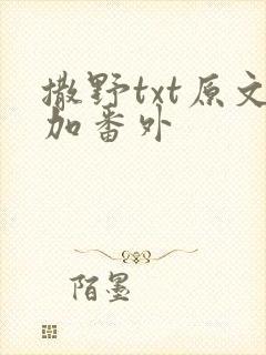 撒野txt原文加番外