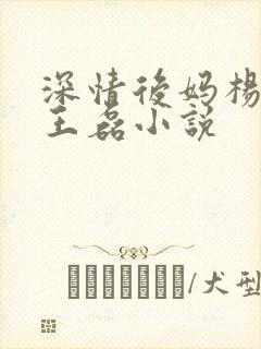 深情后妈杨晓芬王磊小说