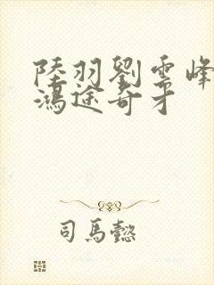 陆羽刘云峰小说鸿途奇才封面