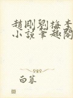 赵刚刘梅李晓雅小说笔趣阁封面