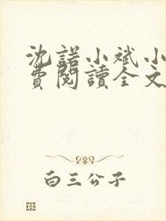 沈诺小斌小说免费阅读全文最新章节