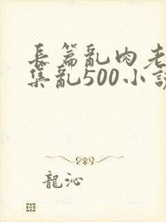 长篇乱肉老师合集乱500小说封面