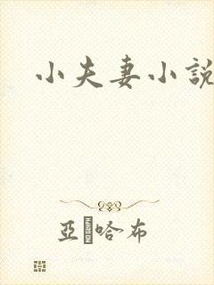 小夫妻小说封面