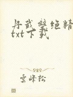 丹武双绝精校版txt下载