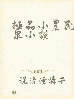 极品小农民叶庆泉小说