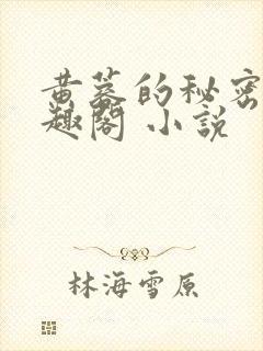 黄蓉的秘密 笔趣阁 小说