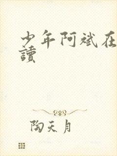 少年阿斌在线阅读