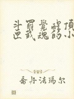 斗罗觉醒顶级剑匣武魂的小说