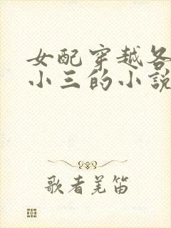 女配穿越各个做小三的小说