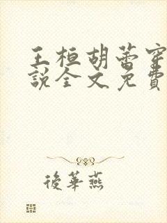 王桓胡蕾穿越小说全文免费阅读