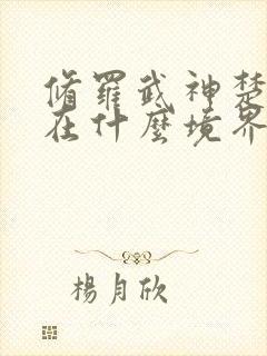 修罗武神楚枫现在什么境界