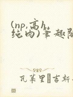 (np,高h,纯肉)笔趣阁