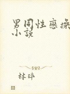 男同性恋操屁眼小说