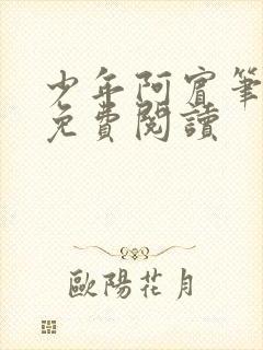 少年阿宾笔趣阁免费阅读