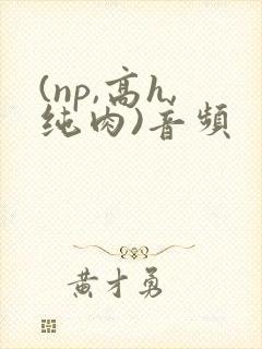 (np,高h,纯肉)音频封面