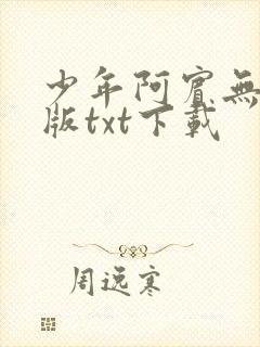 少年阿宾无删减版txt下载