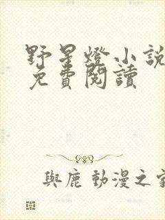 野星灯小说全文免费阅读