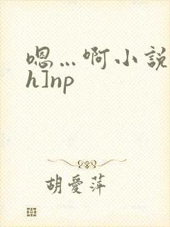 嗯…啊小说[高h]np