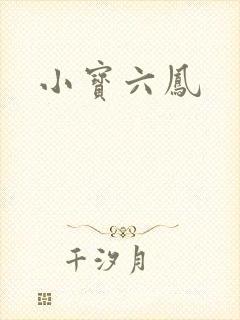 小宝六凤