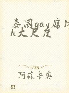 泰国gay腐片h大尺度封面