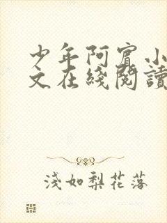 少年阿宾小说全文在线阅读