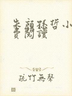 朱颜孙哲小说免费阅读封面