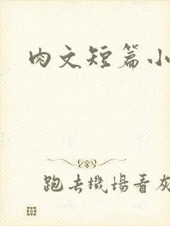 肉文短篇小说