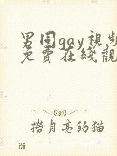 男同gay视频免费在线观看