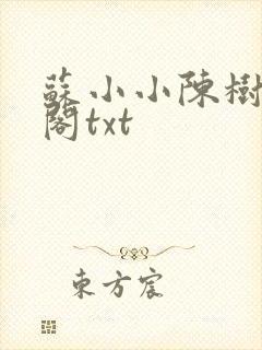 苏小小陈树笔趣阁txt