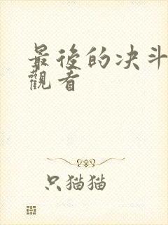 最后的决斗免费观看