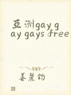 亚洲gay gay gays free