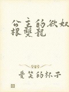 公主的欲奴h四根双龙