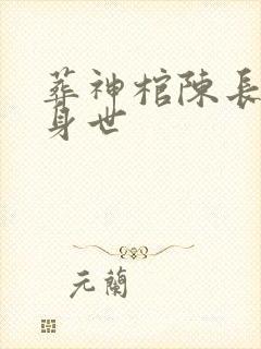 葬神棺陈长安的身世封面