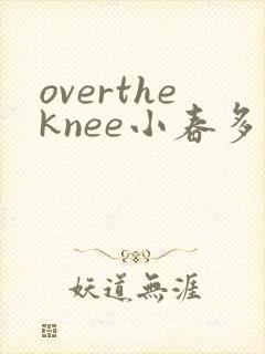 overtheknee小春多梦阅读笔趣阁