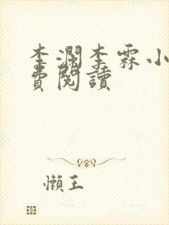 李澜李霖小说免费阅读封面