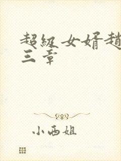 超级女婿赵旭第三章