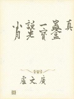 小说一蛊真人之月光宝盒封面