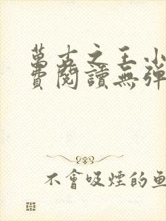 万古之王小说免费阅读无弹窗