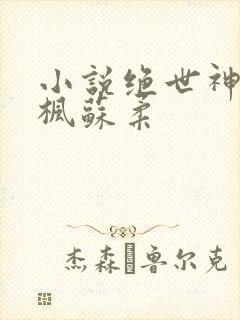 小说绝世神皇楚枫苏柔