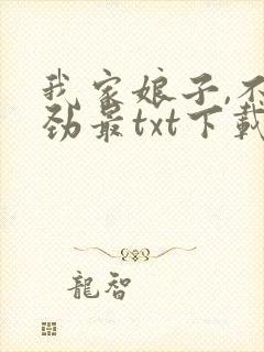 我家娘子,不对劲最txt下载