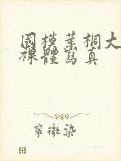 国模叶桐大尺度裸体写真