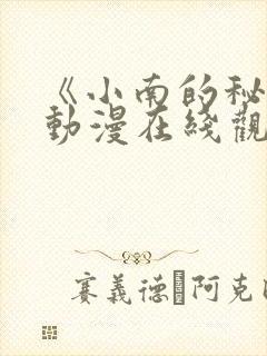 《小南的秘密》动漫在线观看全集免费