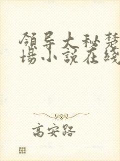 领导大秘楚晨官场小说在线