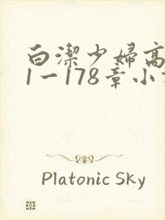 白洁少妇高义第1一178章小说