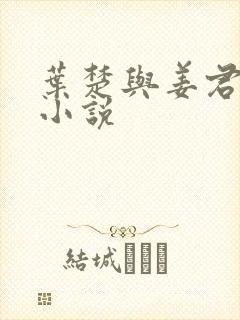 叶楚与姜君瑶的小说