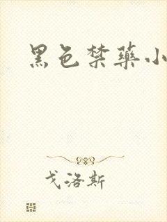 黑色禁药小说